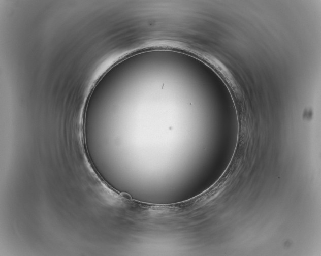 X0000091301199200708101301