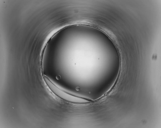 X0000091301200200708101301