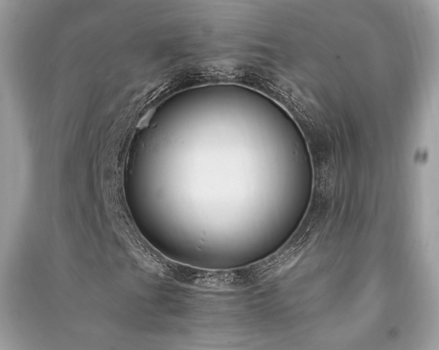 X0000091301201200708101300