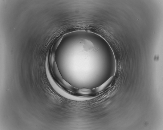 X0000091301202200708101300