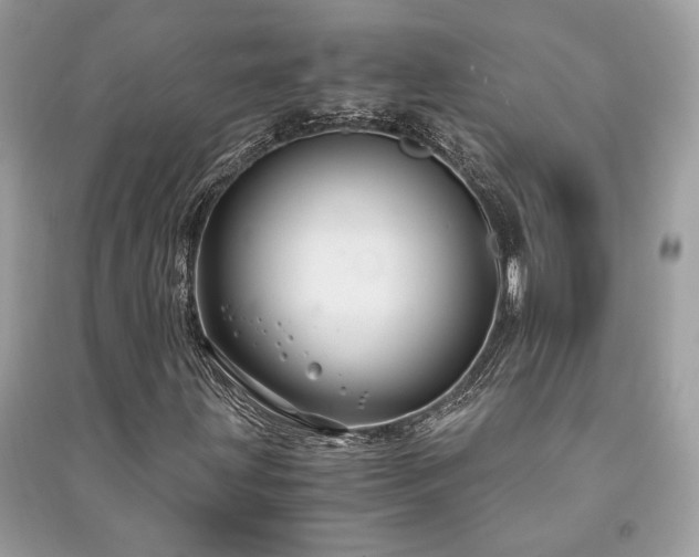 X0000091301203200708101300