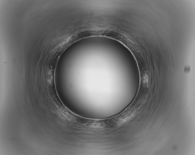 X0000091301204200708101300