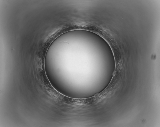 X0000091301205200708101300