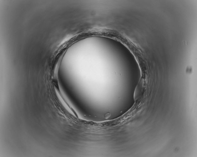 X0000091301206200708101300
