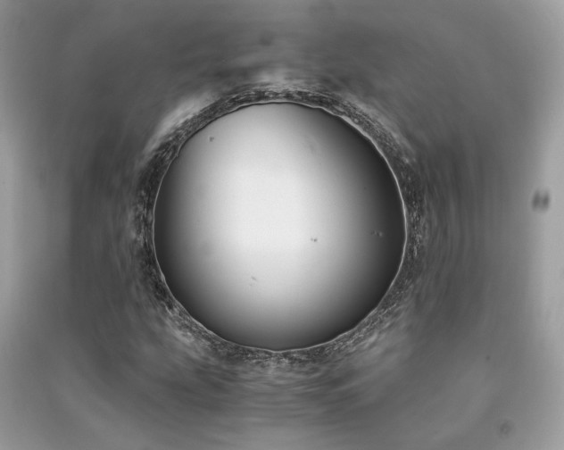 X0000091301207200708101300