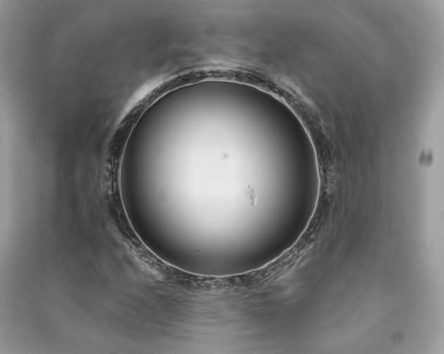 X0000091301208200708101300