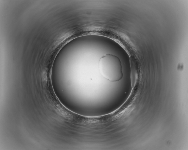 X0000091301209200708101300
