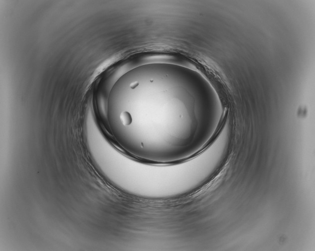 X0000091301210200708101300