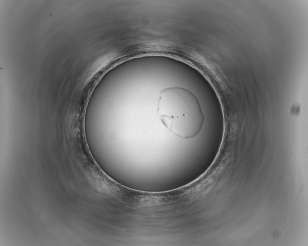 X0000091301211200708101300
