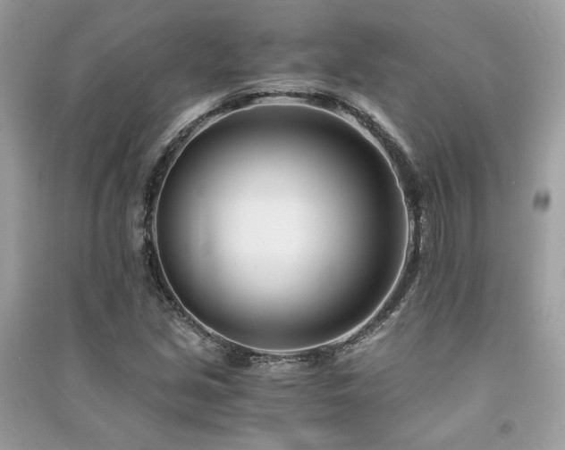 X0000091301213200708101300