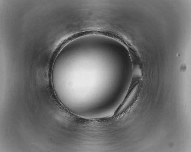 X0000091301214200708101300
