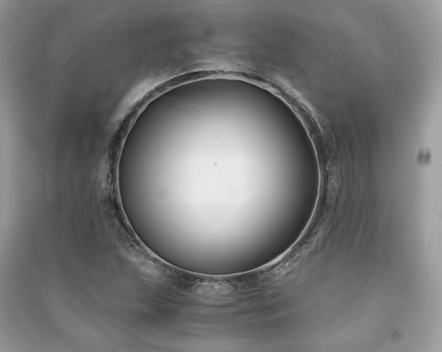 X0000091301215200708101300