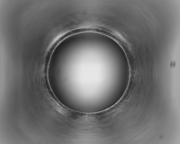 X0000091301216200708101300