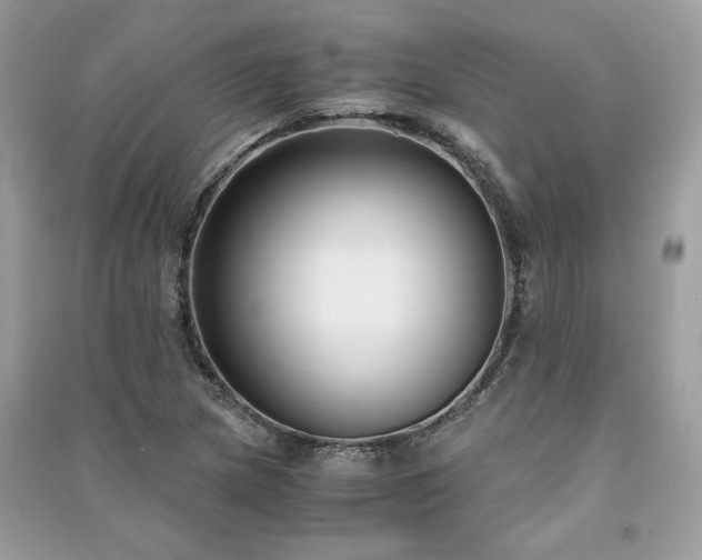 X0000091301217200708101300