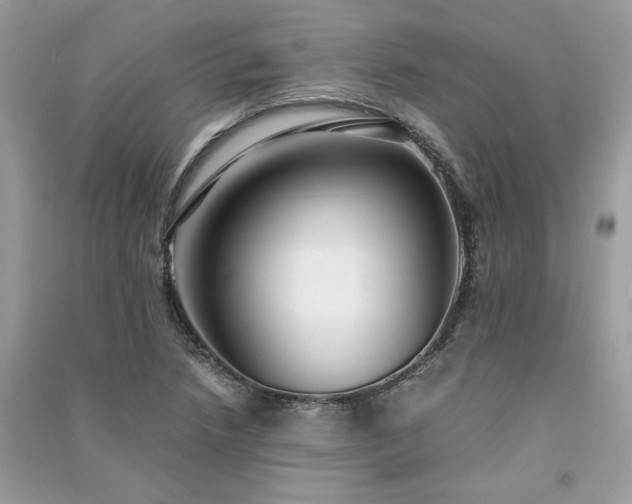 X0000091301218200708101300