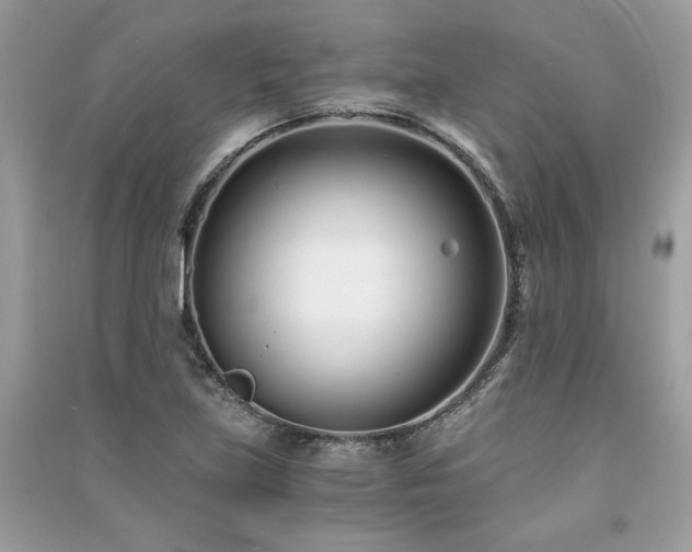 X0000091301219200708101300