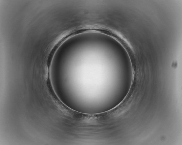 X0000091301221200708101300