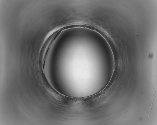 X0000091301222200708101301