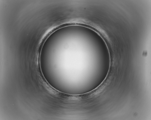 X0000091301224200708101301