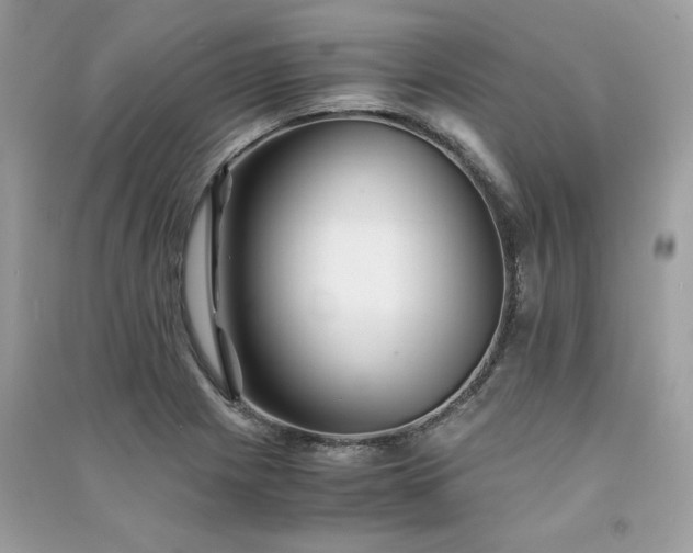 X0000091301225200708101301