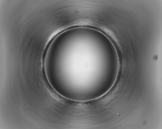 X0000091301226200708101301
