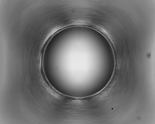 X0000091301227200708101301