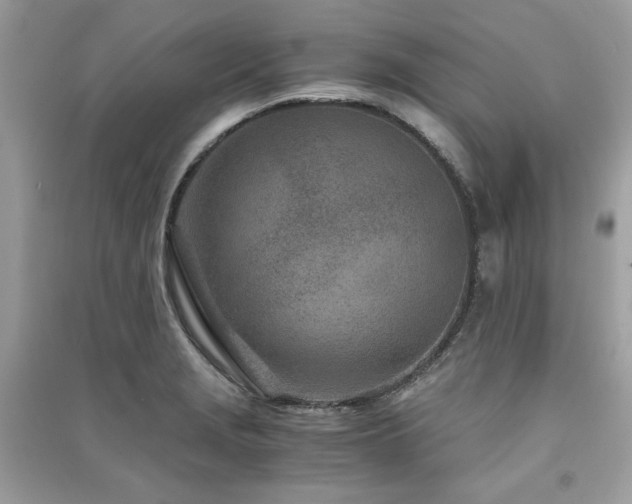 X0000091301229200708101301