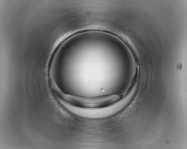 X0000091301230200708101301