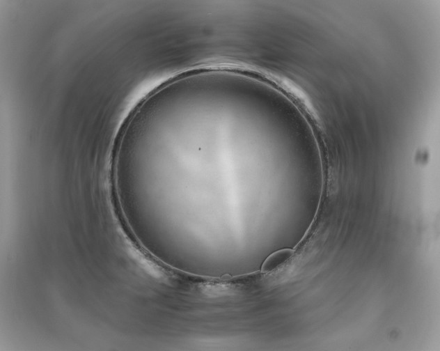 X0000091301231200708101301