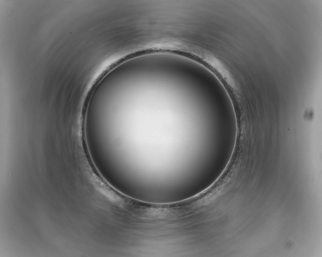 X0000091301232200708101301