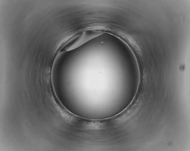 X0000091301233200708101301