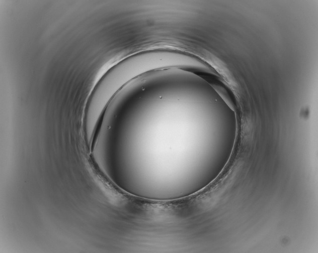 X0000091301234200708101301
