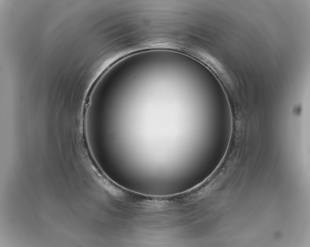 X0000091301236200708101301