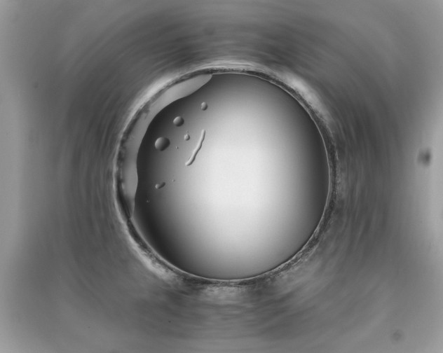 X0000091301237200708101301