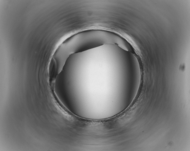 X0000091301238200708101301