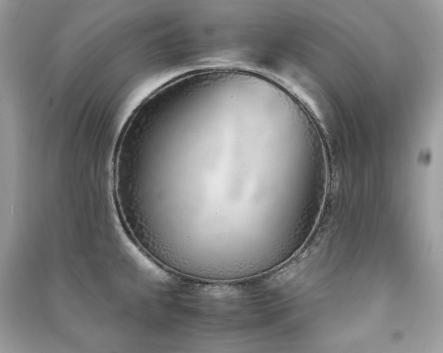 X0000091301239200708101301