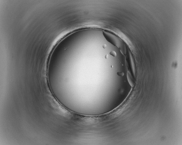 X0000091301240200708101301