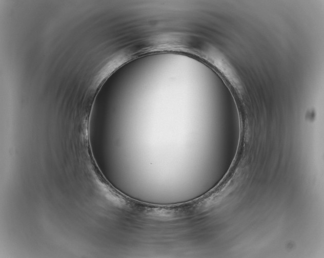 X0000091301241200708101301