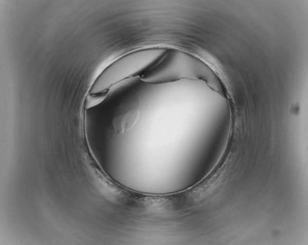 X0000091301242200708101301