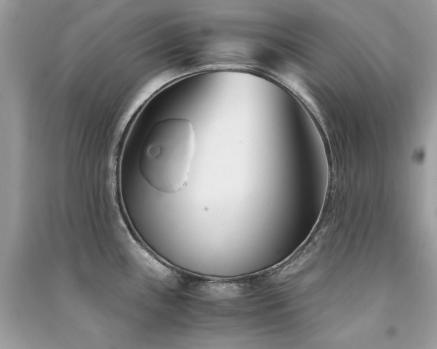 X0000091301243200708101301