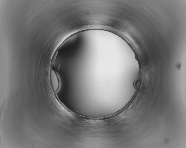 X0000091301244200708101301