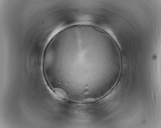 X0000091301245200708101301