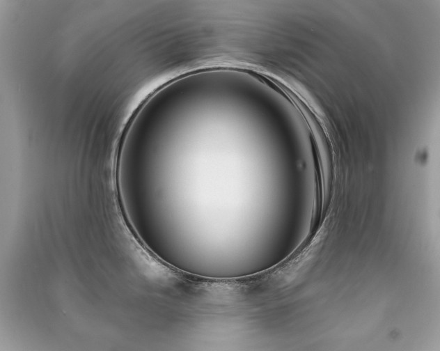 X0000091301246200708101301