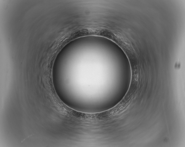 X0000091301249200708101300