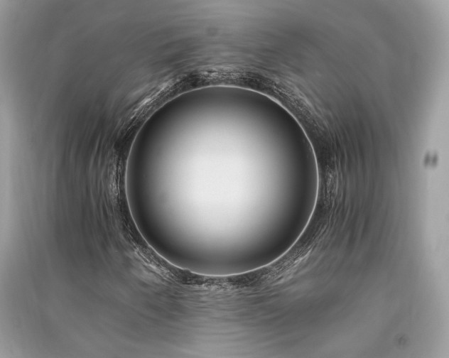 X0000091301250200708101300