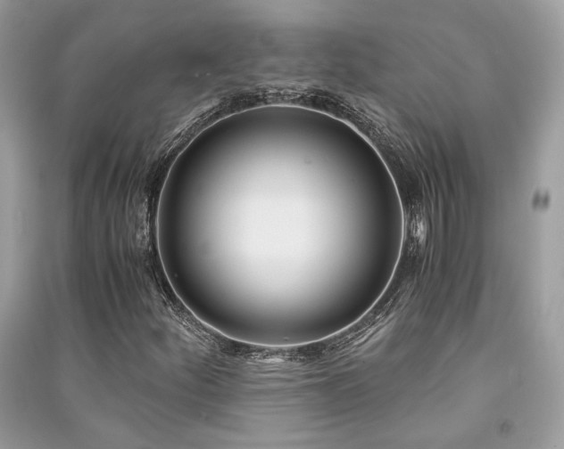 X0000091301252200708101300