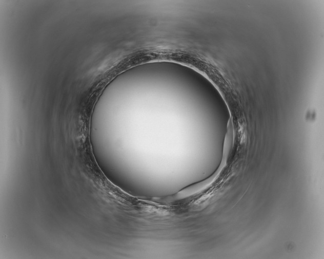 X0000091301253200708101300