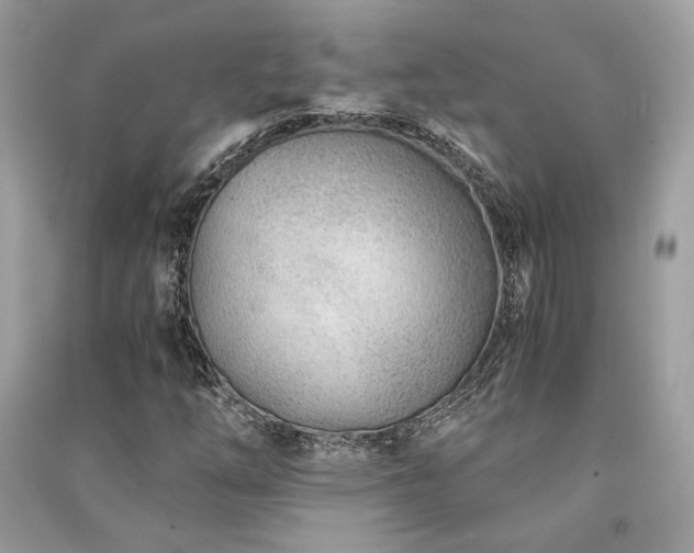 X0000091301254200708101300