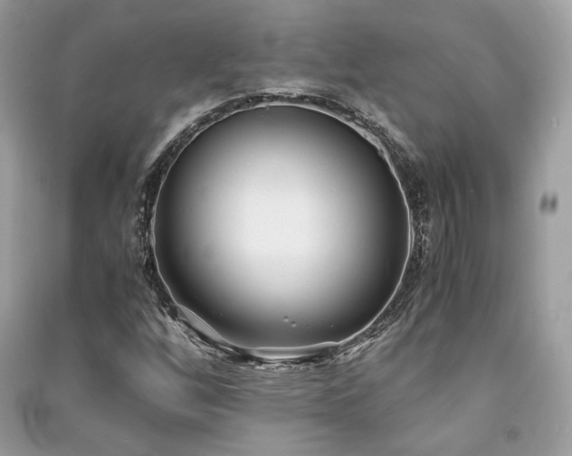 X0000091301256200708101300