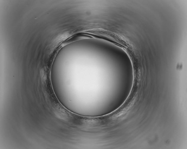 X0000091301257200708101300